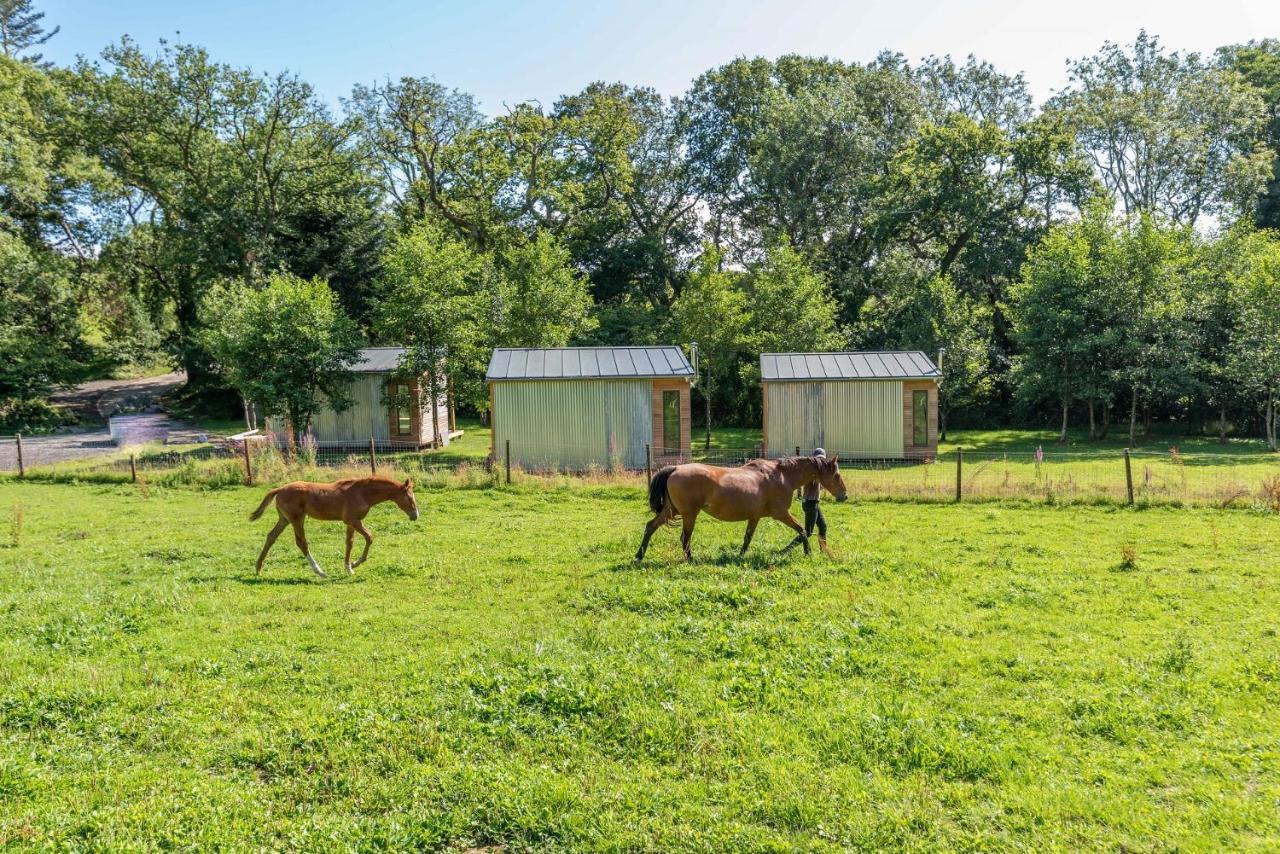 Sunset Cabins - Studio Pod-Sleeps 3-Tjsssc Барнстъпъл Екстериор снимка